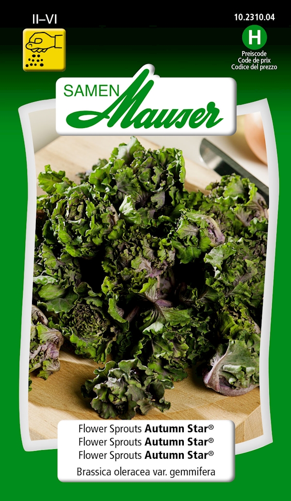 Samen Mauser Flower Sprouts Autumn Star Blumenbörse Online